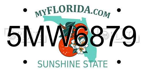 5MW6879 Florida License Plate