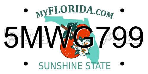 5MWG799 Florida License Plate