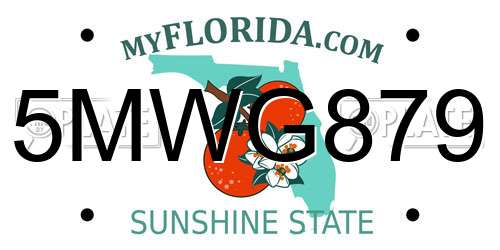 5MWG879 Florida License Plate