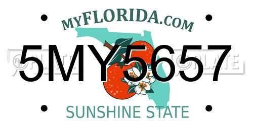 5MY5657 Florida License Plate