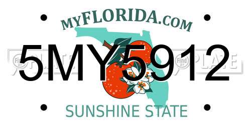 5MY5912 Florida License Plate