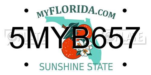 5MYB657 Florida License Plate