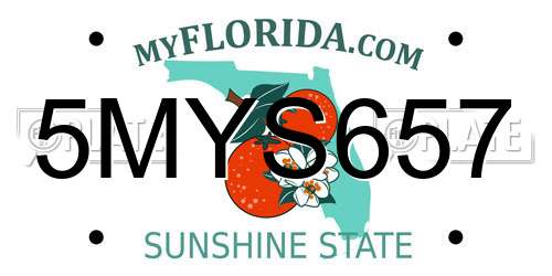 5MYS657 Florida License Plate