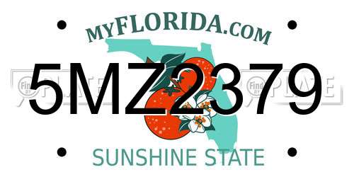 5MZ2379 Florida License Plate