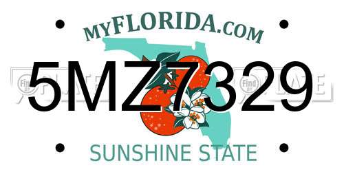 5MZ7329 Florida License Plate