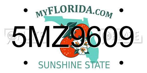 5MZ9609 Florida License Plate
