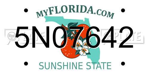 5N07642 Florida License Plate