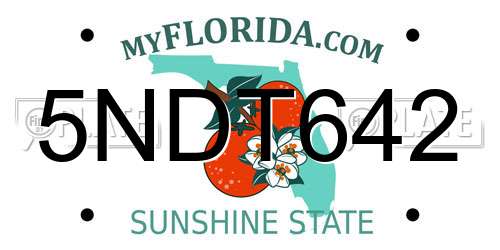5NDT642 Florida License Plate