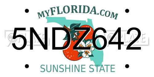 5NDZ642 Florida License Plate