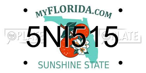 5NI515 Florida License Plate