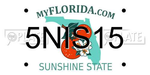 5NIS15 Florida License Plate