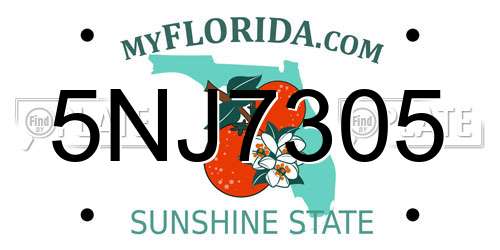 5NJ7305 Florida License Plate