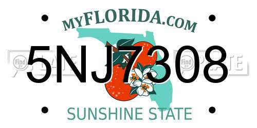 5NJ7308 Florida License Plate