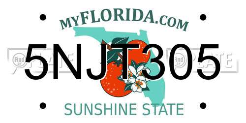 5NJT305 Florida License Plate