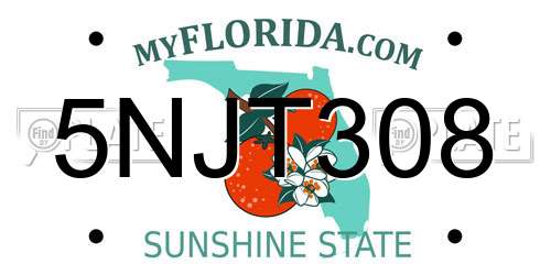 5NJT308 Florida License Plate