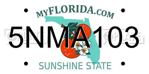 5NMA103 Florida License Plate