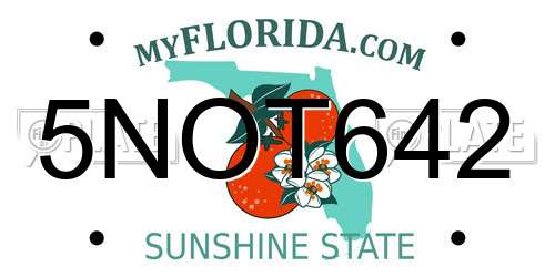 5NOT642 Florida License Plate