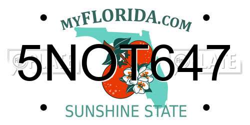 5NOT647 Florida License Plate