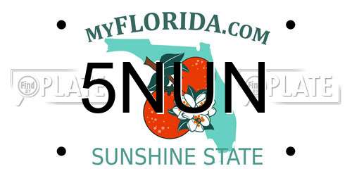 5NUN Florida License Plate