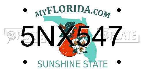 5NX547 Florida License Plate