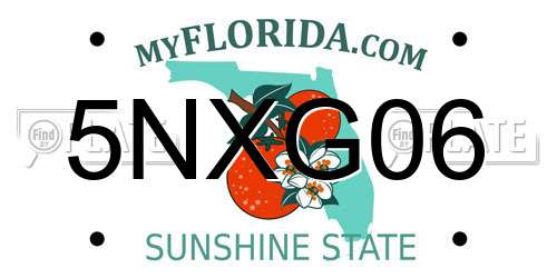 5NXG06 Florida License Plate