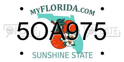 5OA975 Florida License Plate