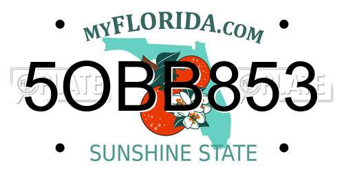 5OBB853 Florida License Plate