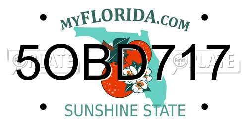 5OBD717 Florida License Plate