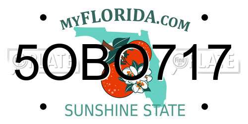 5OBO717 Florida License Plate