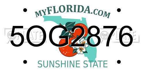 5OG2876 Florida License Plate