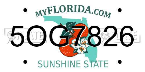 5OG7826 Florida License Plate