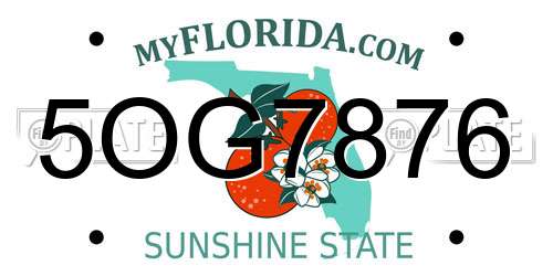 5OG7876 Florida License Plate