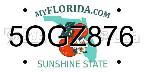 5OGZ876 Florida License Plate