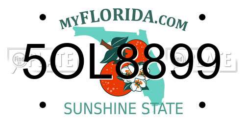 5OL8899 Florida License Plate