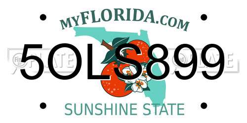 5OLS899 Florida License Plate