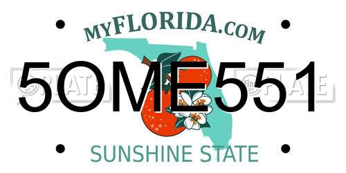5OME551 Florida License Plate