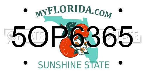 5OP6365 Florida License Plate