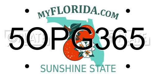 5OPG365 Florida License Plate