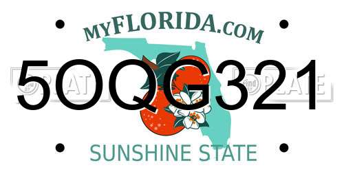 5OQG321 Florida License Plate