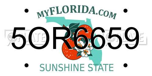 5OR6659 Florida License Plate