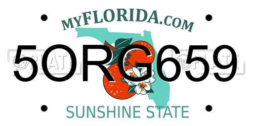5ORG659 Florida License Plate