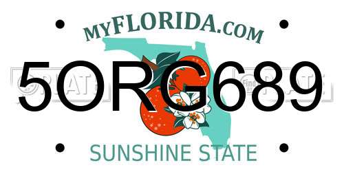 5ORG689 Florida License Plate