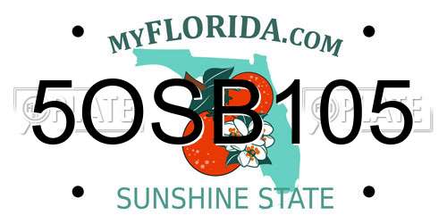 5OSB105 Florida License Plate
