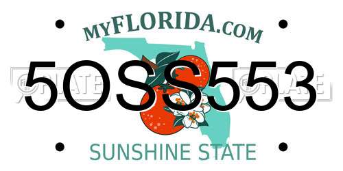 5OSS553 Florida License Plate