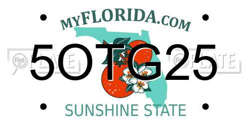 5OTG25 Florida License Plate