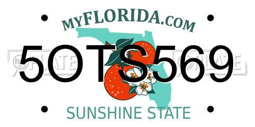 5OTS569 Florida License Plate