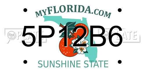 5P12B6 Florida License Plate