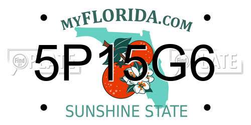 5P15G6 Florida License Plate