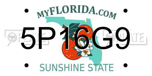5P16G9 Florida License Plate