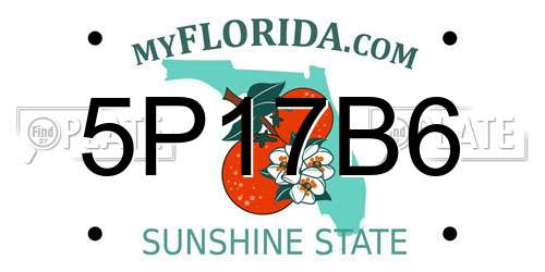 5P17B6 Florida License Plate